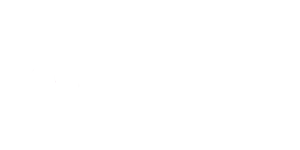 fidelis personal Logo